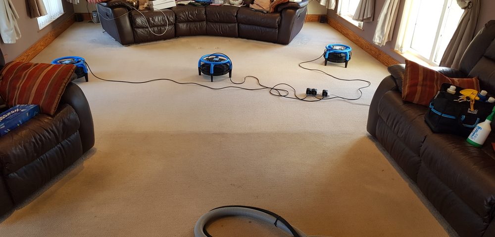 End of tenancy carpet cleaning belfast