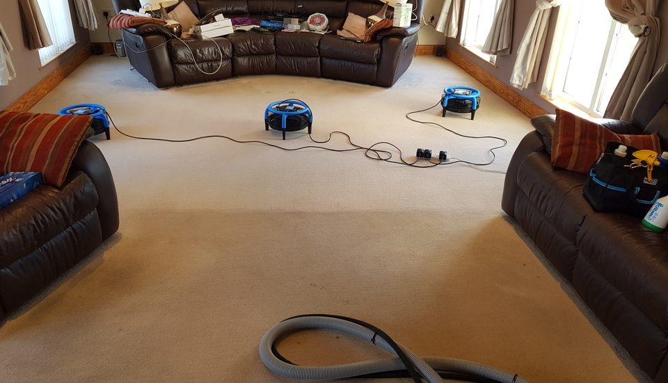 End of tenancy carpet cleaning belfast