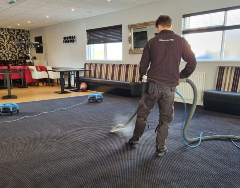 the best carpet cleaning company in belfast