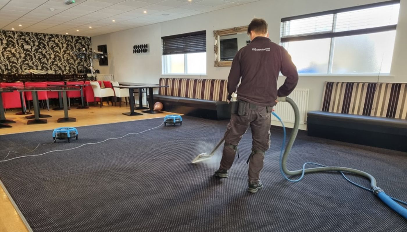 the best carpet cleaning company in belfast