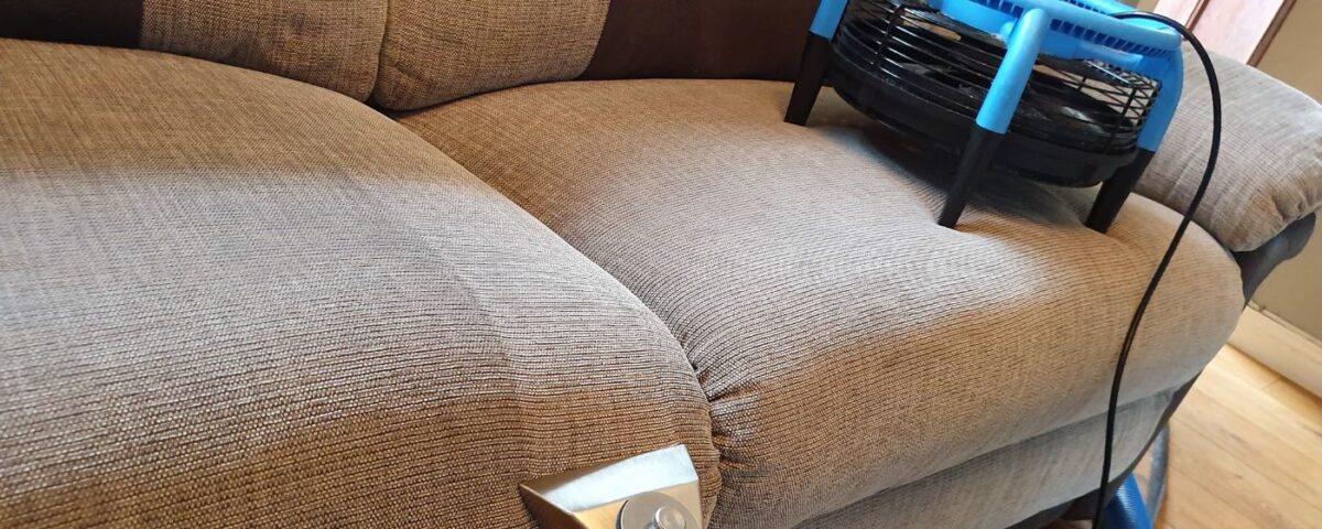 the best upholstery cleaning company in belfast